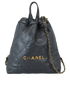 Small 22 Backpack, front view